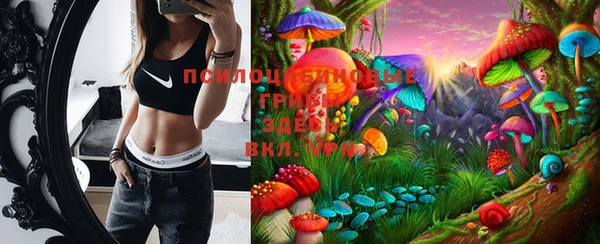 apvp Бугульма