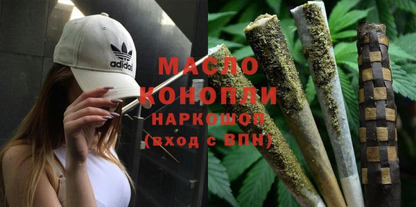 мдпв Богородицк