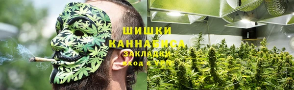 мдпв Богородицк